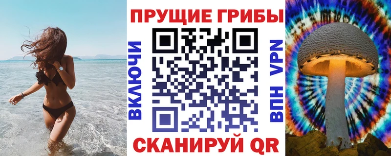 купить наркотики сайты  Красногорск  Галлюциногенные грибы Psilocybine cubensis 