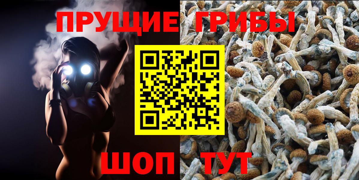 Галлюциногенные грибы мицелий  Вход с VPN  Красногорск 